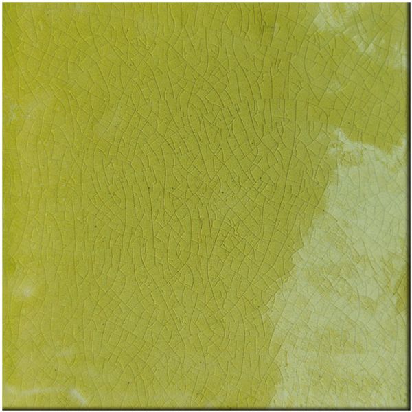 alga.jpg