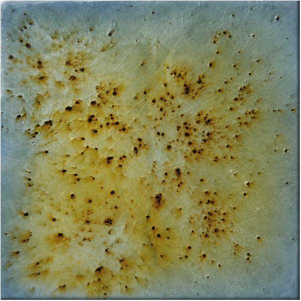 ambra-grigia.jpg