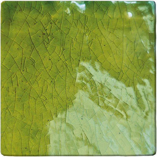 posidonia.jpg